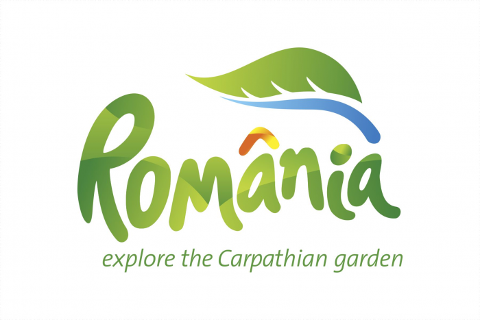 Steag 110g/mp Print Digital