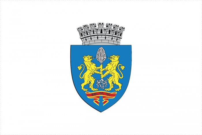 Steag 110g/mp Print Digital