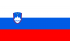 Steag Slovenia