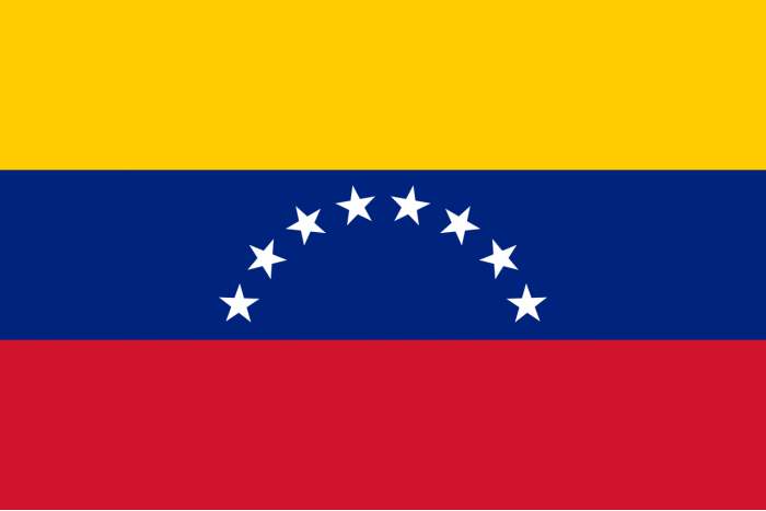 Steag Venezuela