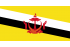 Steag Brunei
