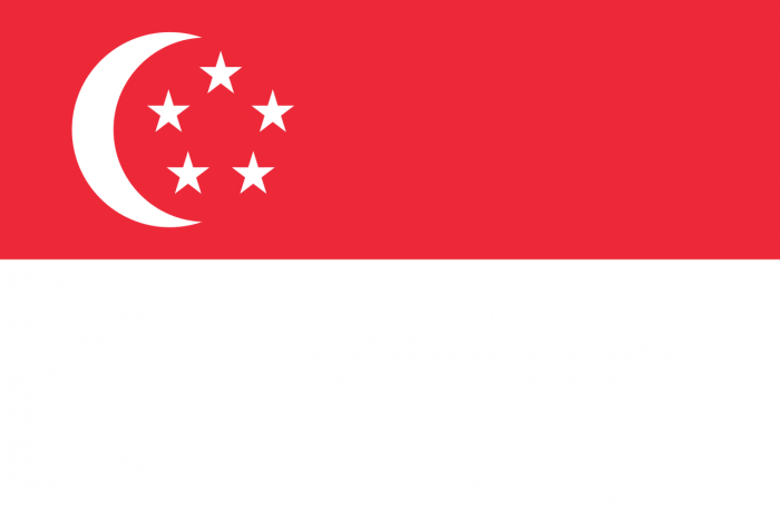 Steag Singapore