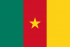 Steag Camerun