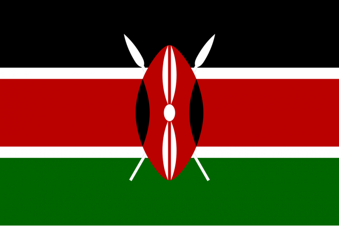 Steag Kenya