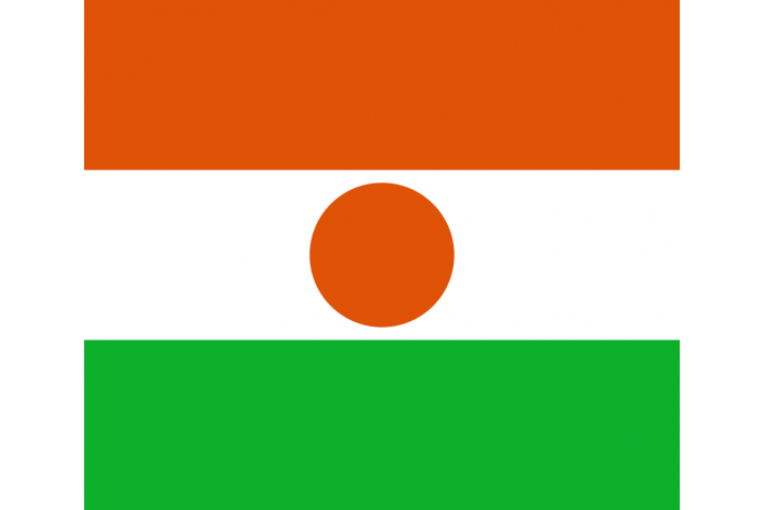 Steag Niger