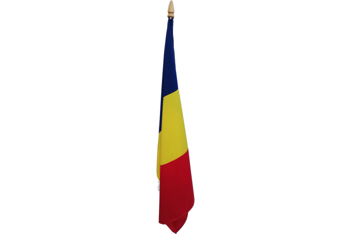 Steag Romania 160g/mp
